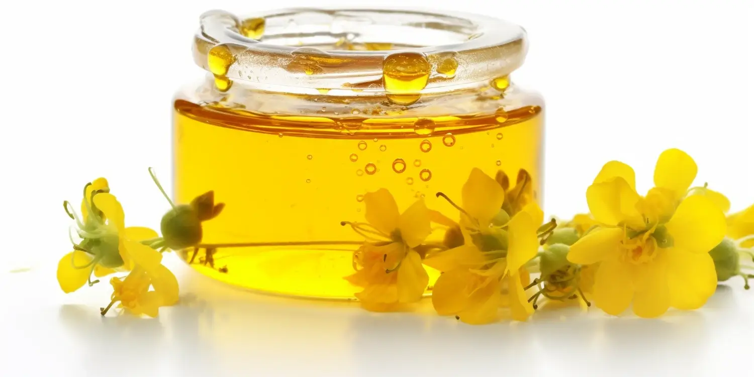 Gdzie kupić miód spadziowy?