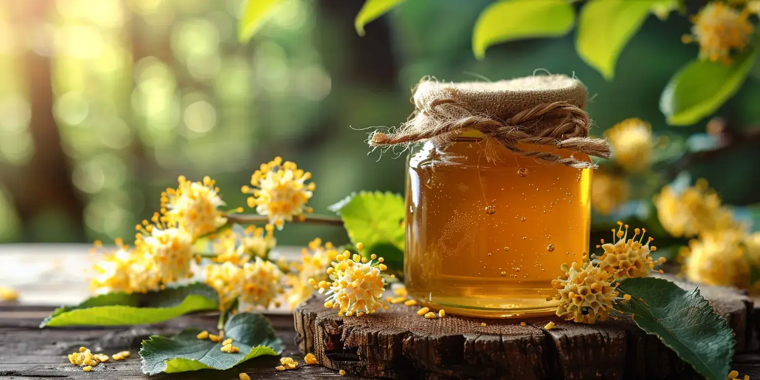 Miód akacjowy zalety