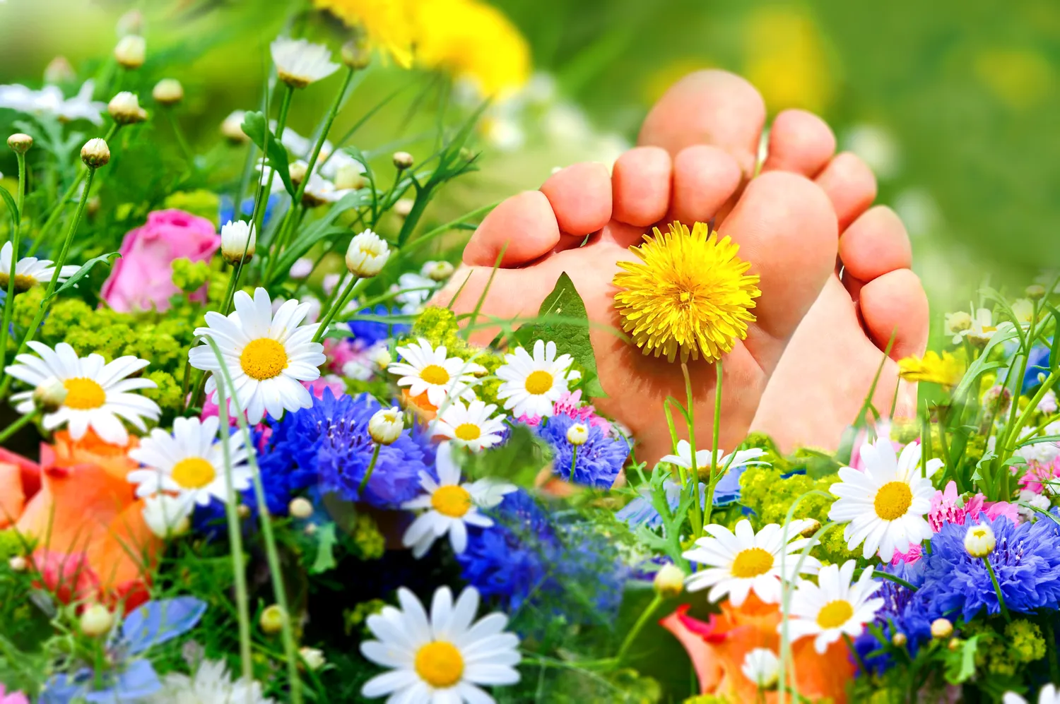 Opatrunki ze srebrem jak zakładać?